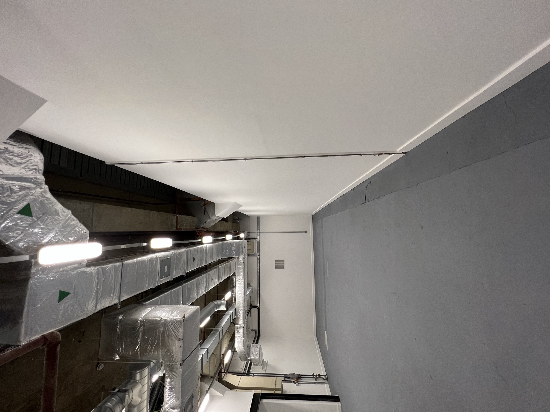 service riser cluster — exposed slab to clean white — Existing
