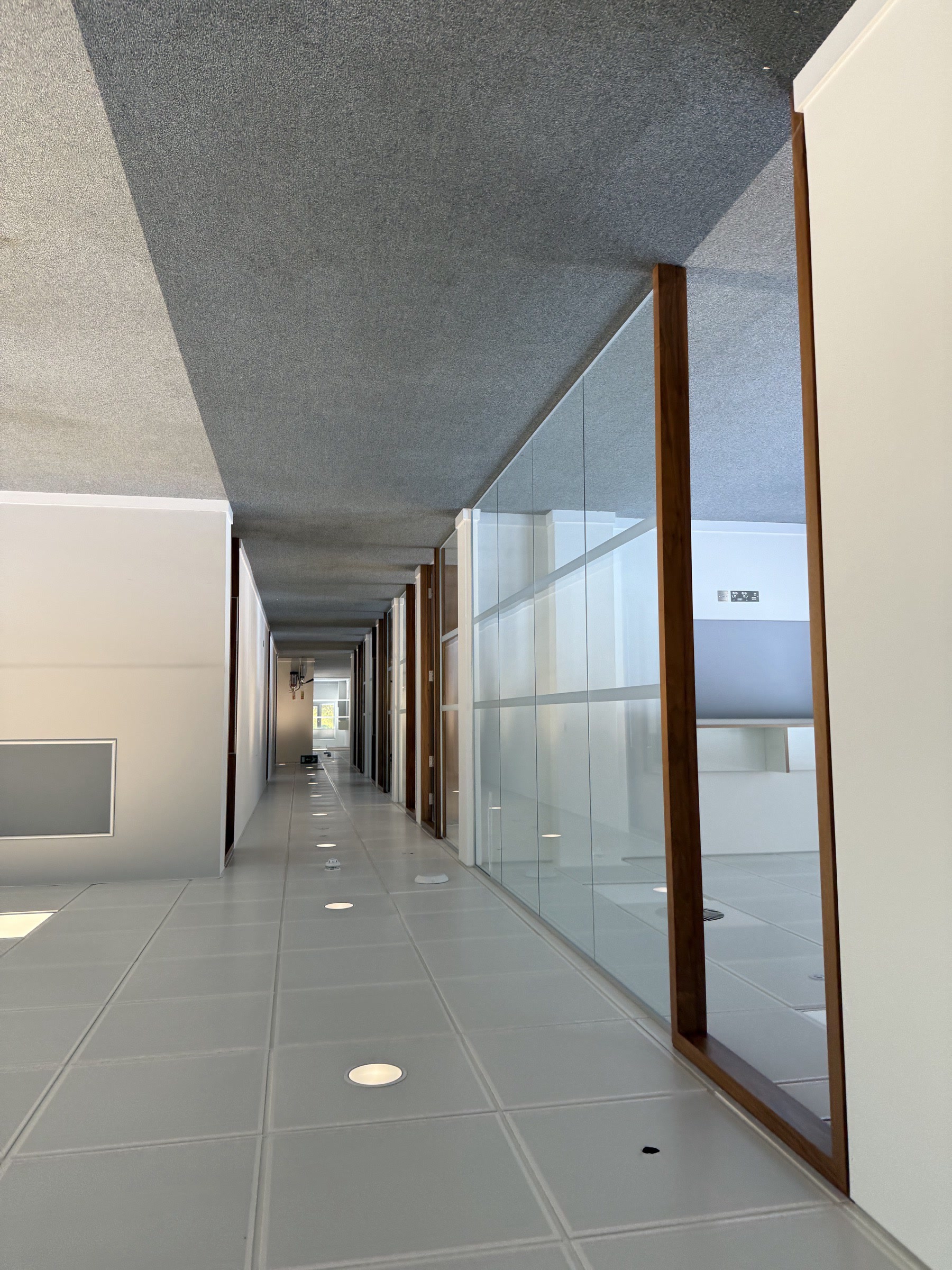 Atrium ceiling — glass roof detail — Before